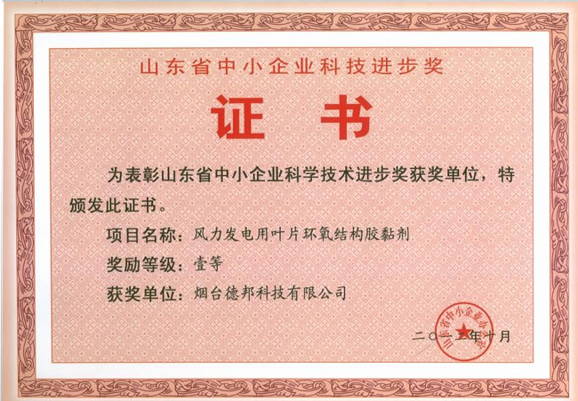 山東省中小企業(yè)科學技術(shù)進步一等獎
